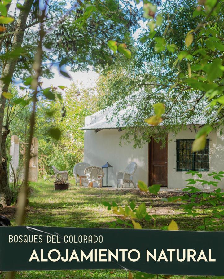 Vila Bosques Del Colorado.Relax En El Bosque Los Cerrillos Exteriér fotografie