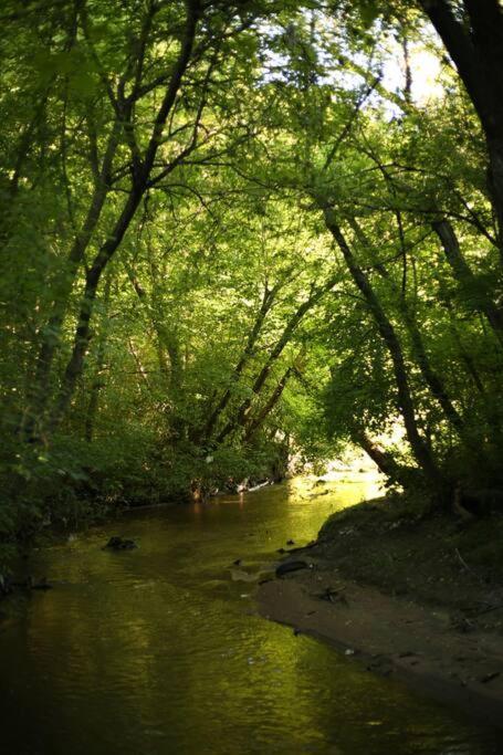 Vila Bosques Del Colorado.Relax En El Bosque Los Cerrillos Exteriér fotografie