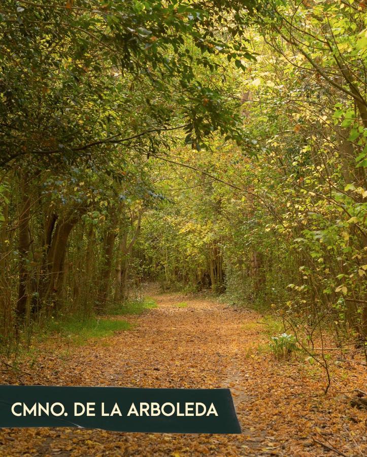 Vila Bosques Del Colorado.Relax En El Bosque Los Cerrillos Exteriér fotografie